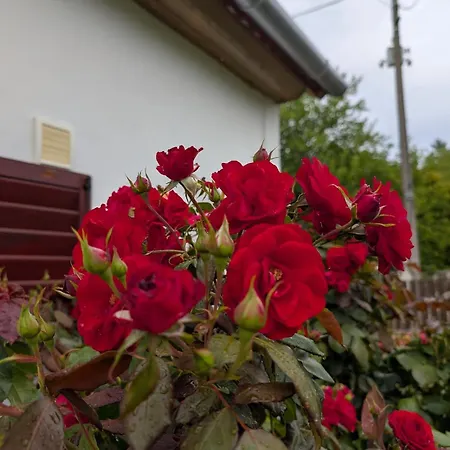 A Bejárat Apartamento