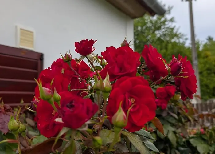 A Bejarat Vendeghaz Lägenhet